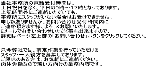 ���m�点�Q